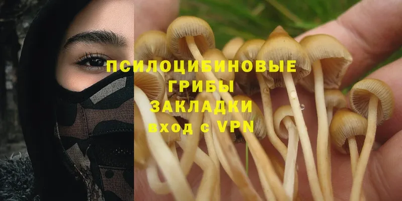 Галлюциногенные грибы MAGIC MUSHROOMS  Красноуральск 